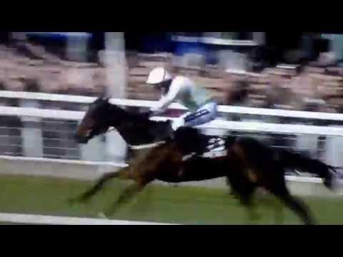 Douvan wins Supreme Novice Hurdle at Cheltenham 2015