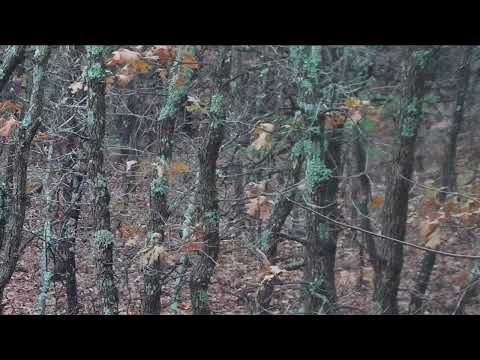 2022-11-27 First Sighting - Raw