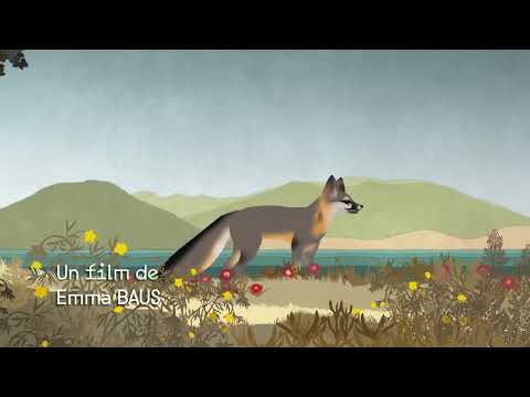 Le renard qui a sauvé son île / Teaser