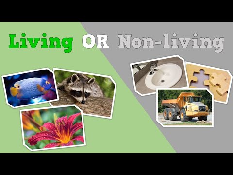LIVING OR NON-LIVING?  (a science song for kids)