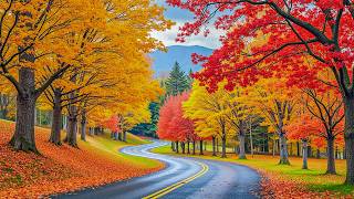 "September Autumn Peace" Beautiful Relaxing Music, Peaceful Soothing Music by Love YourSelf