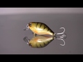 ILLEX - Wobler Chubby 3,8 cm HL Sunfish