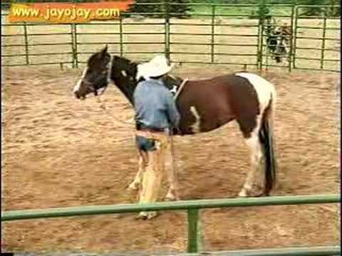 Horse Training Video: 6 of 12
