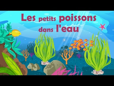Les petits poissons dans l'eau - Comptine avec gestes pour enfants et bébés (avec les paroles)
