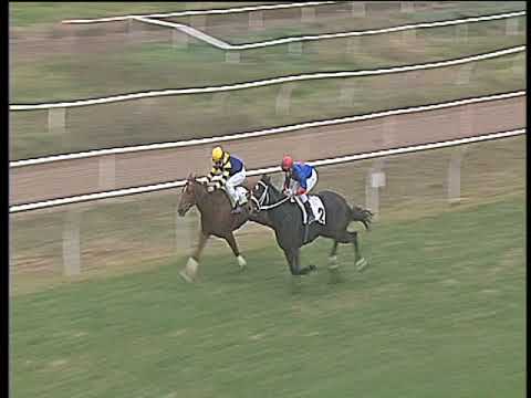 Galoppo 29/11/2017 - 1ª corsa