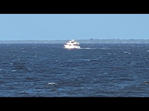 OBX Pet Friendly Hotel People Will Love