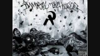 Immortal Technique - Underground railroad freestyle(cat did it remix)