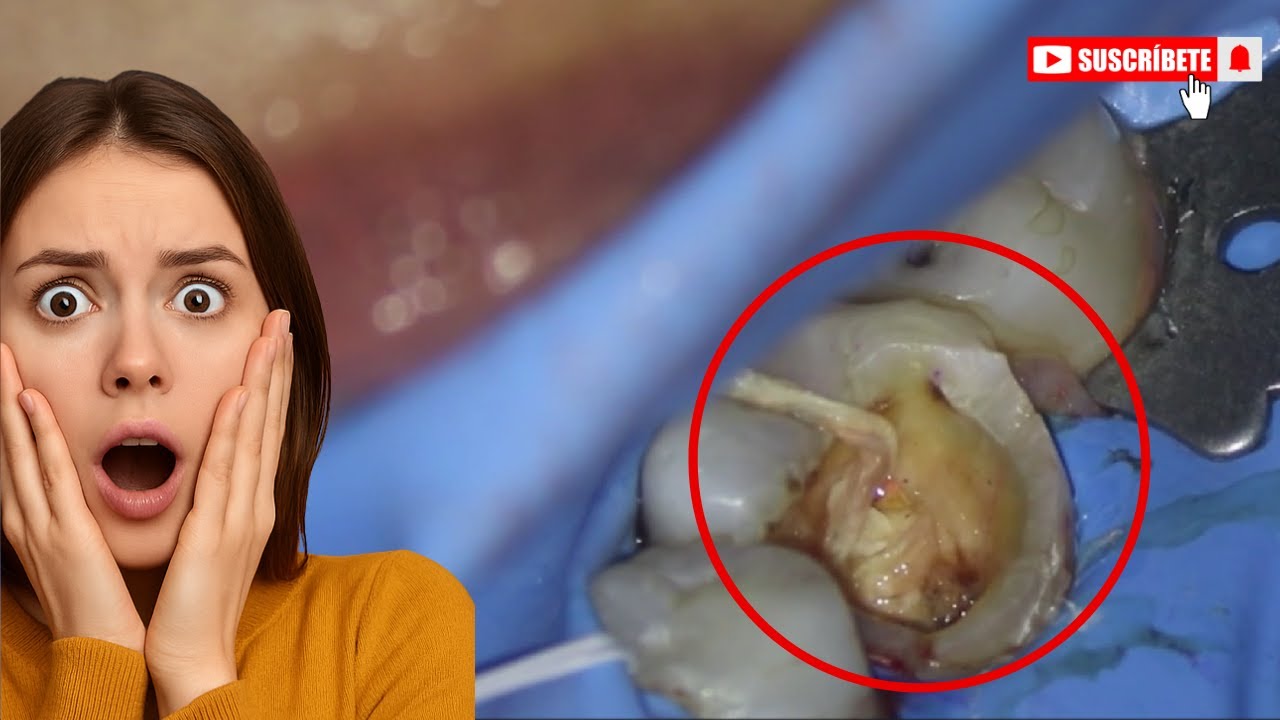 Cecilia Lopez Campa-18