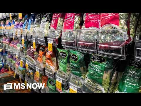 Should we be eating lettuce? Cyclosporiasis cases top 4,000 as FDA probe continues
