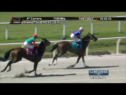 230115 c04 LADY ASCOT