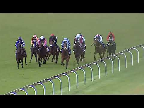 HEAVENS GIRL - 4Racing SA Fillies Nursery Gr2