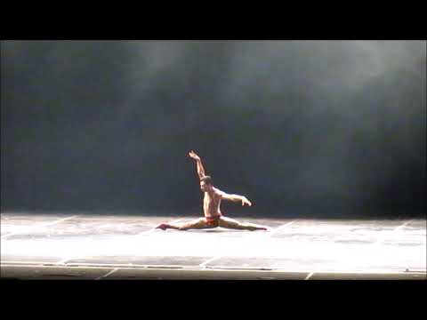 39° FEST. DANÇA JLLE - CAMPEÕES SÊNIORS - BALÉ NEOCLÁS - SOLO MASC - STUDIO ARTE  DANÇA - BY GENEBA