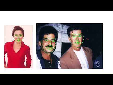 Python Bindings for Facial Landmark API in OpenCV | GSoC 2019