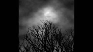 Banco De Gaia - Starless