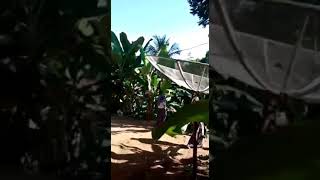 Download lagu pengobatan hj Mak Erot 081380136771 mp3 Download lagu pengobatan hj Mak Erot 081380136771 mp3