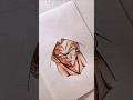 Drawing Broly DragonBall Z Broly Dragonball Dragonball Dragonballz Dragonballsuper Animeart