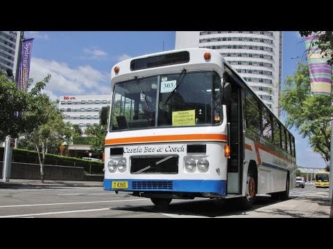 Casula/Kingsgrove Bus Co. M/O 4360 - Volvo B10M Mk 1 (Allison/CC Euro Mk 2)