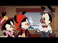Every Sibling Moment In Animaniacs 2020