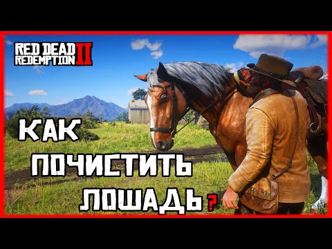 КАК ПОЧИСТИТЬ ЛОШАДЬ В RED DEAD REDEMPTION 2 \\ КАК ПОМИТЬ КОНЯ В DRD 2( РДР 2 )