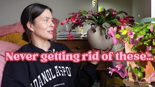 Houseplants I will never get rid of | Favorite Indoor Plants