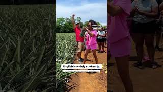 Download lagu Costa Rica Things to Know Before You Go mp3 Download lagu Costa Rica Things to Know Before You Go mp3