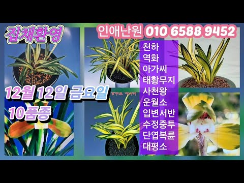 유튜브 썸네일
