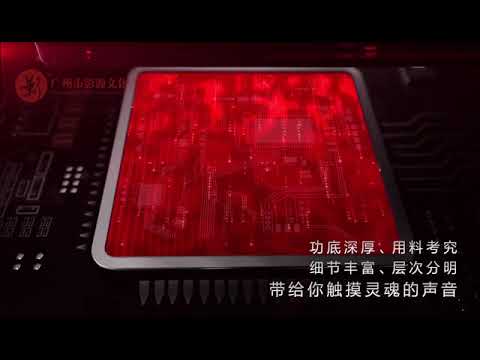 TY-i30 HIFI Wireless Digital Player