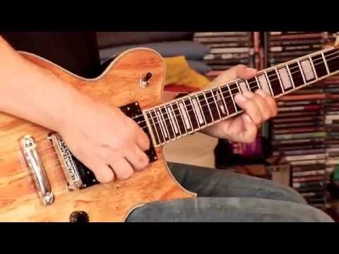 Washburn Prototype #1 - Idol - Spalted Maple Natural 2012 image 16