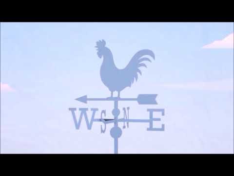 Il-meterjologu u l-istrumenti tat-temp