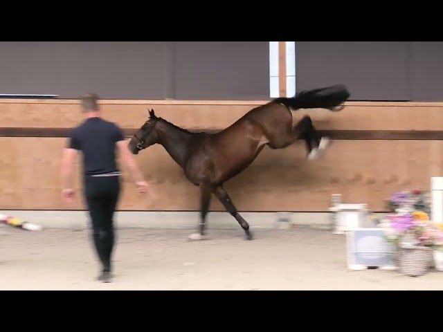jumping