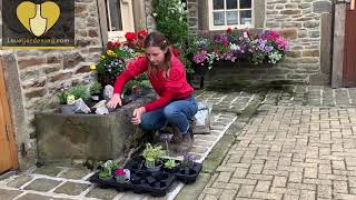 How to plant an Alpine Planter With Katie Rushworth