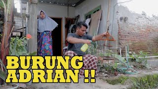 Download lagu KOMEDAK (Komedi Dakwah) Sasak Lombok, Episode 32: BURUNG ADRIAN mp3 Download lagu KOMEDAK (Komedi Dakwah) Sasak Lombok, Episode 32: BURUNG ADRIAN mp3