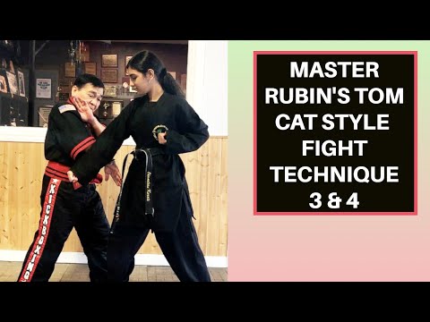 Master Rubin's Fight Technique - Tom Cat 3 & 4