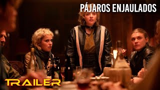 Trailer Preview Image