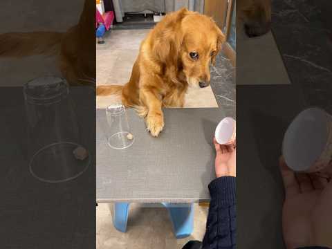 That side eye said it all 🙄😂❤️