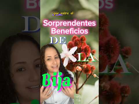 What is annatto and what are its medicinal properties? #annatto #shorts #health #homeremedies