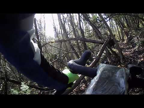 Purgessimo single track