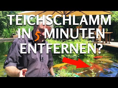 Teichschlammentferner wirkt sofort! Für Gartenteiche, Fischteiche & Koiteiche