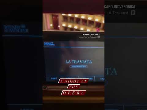 Vienna Opera - the experience!👏