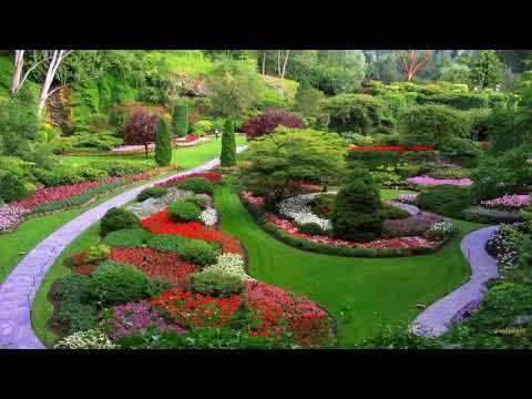 download lagu mp3 mp4 Best Landscape Architecture Websites, download lagu Best Landscape Architecture Websites gratis, unduh video klip Best Landscape Architecture Websites