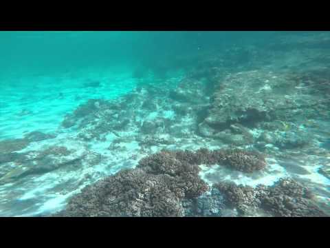 storm and kaz day out