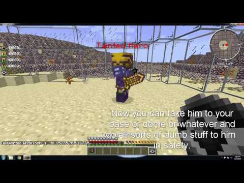 Blightfall: Tainted NPCs + Safari Net + Auto-Spawner = ???