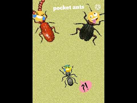 pocket ants:foto formiga sendo cercada