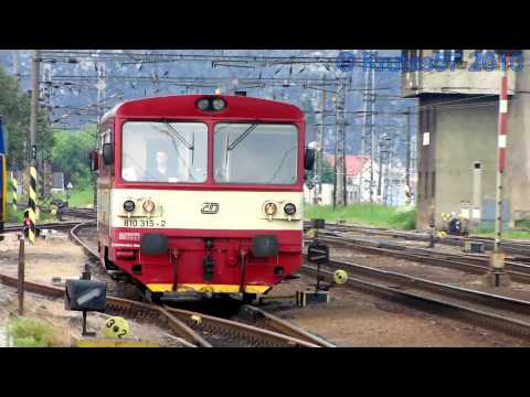 ČD 810.315 - Ústí nad Labem-Střekov, 29.5.2010