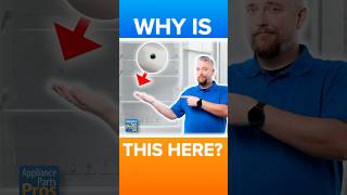 Your Fridge Has a Secret Drain and It Might Be Flooding Your Food