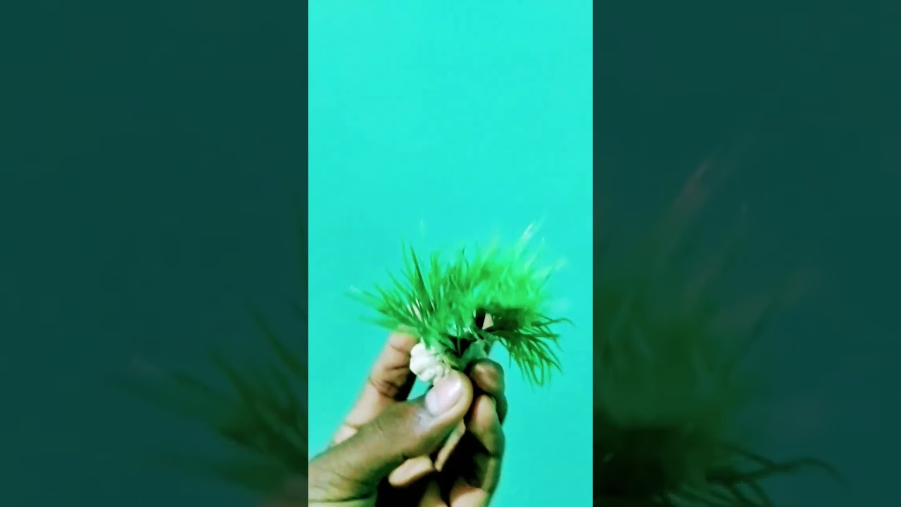 Aquarium Plastic Plant #fish #viralshort