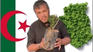 مبادرة المليون شجرة 🌴 والمؤثر فوائد معلي #مليون_شجرة #فوائد_معلي