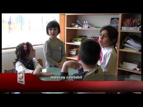 Iepuraş contabil