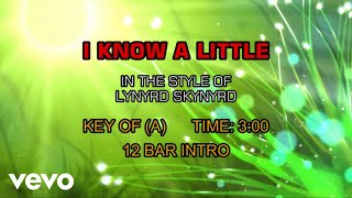 Lynyrd Skynyrd - I Know A Little (Karaoke)