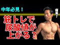 実際の経験を元にお話します。中年必見！筋トレで尿酸値が上がる？痛風に？ビールとかエビとかじゃない。